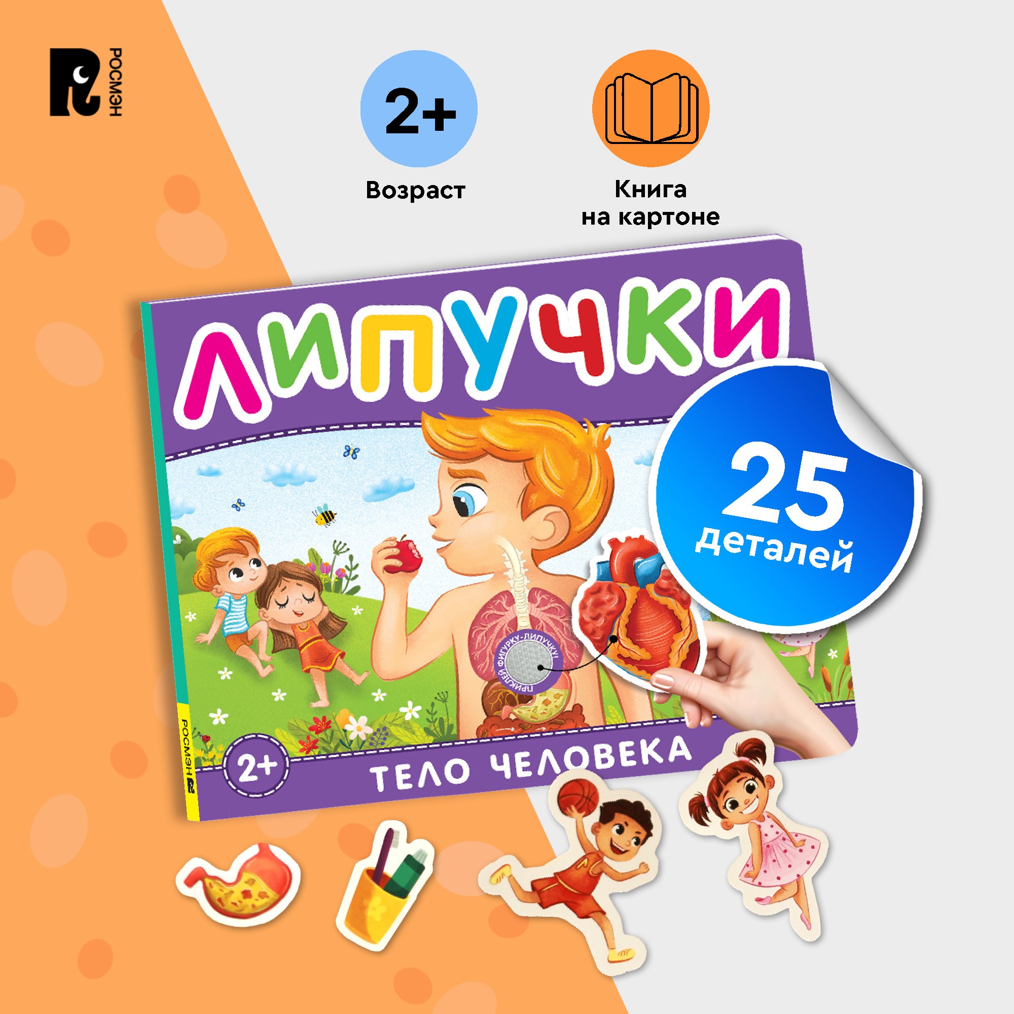 

Книга с липучками Росмэн Тело человека, книжки-игрушки