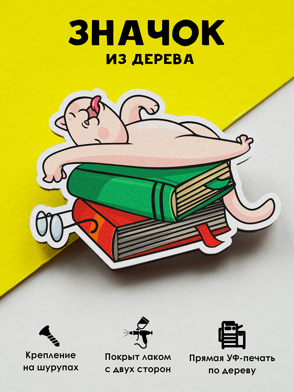 

Значок MR.ZNACHKOFF Кот на стопке книг, Кот на стопке книг