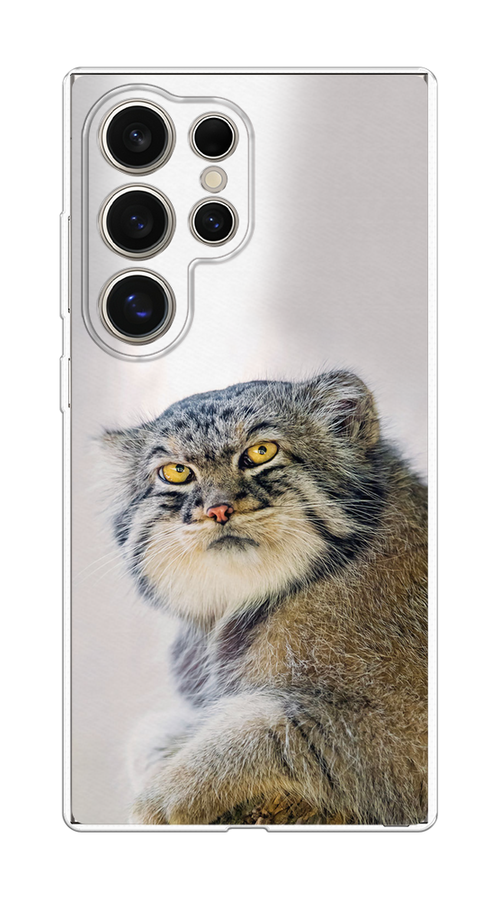 

Чехол на Samsung Galaxy S25 Ultra "Кот манул 1", Серый;белый;желтый, 2110550-1