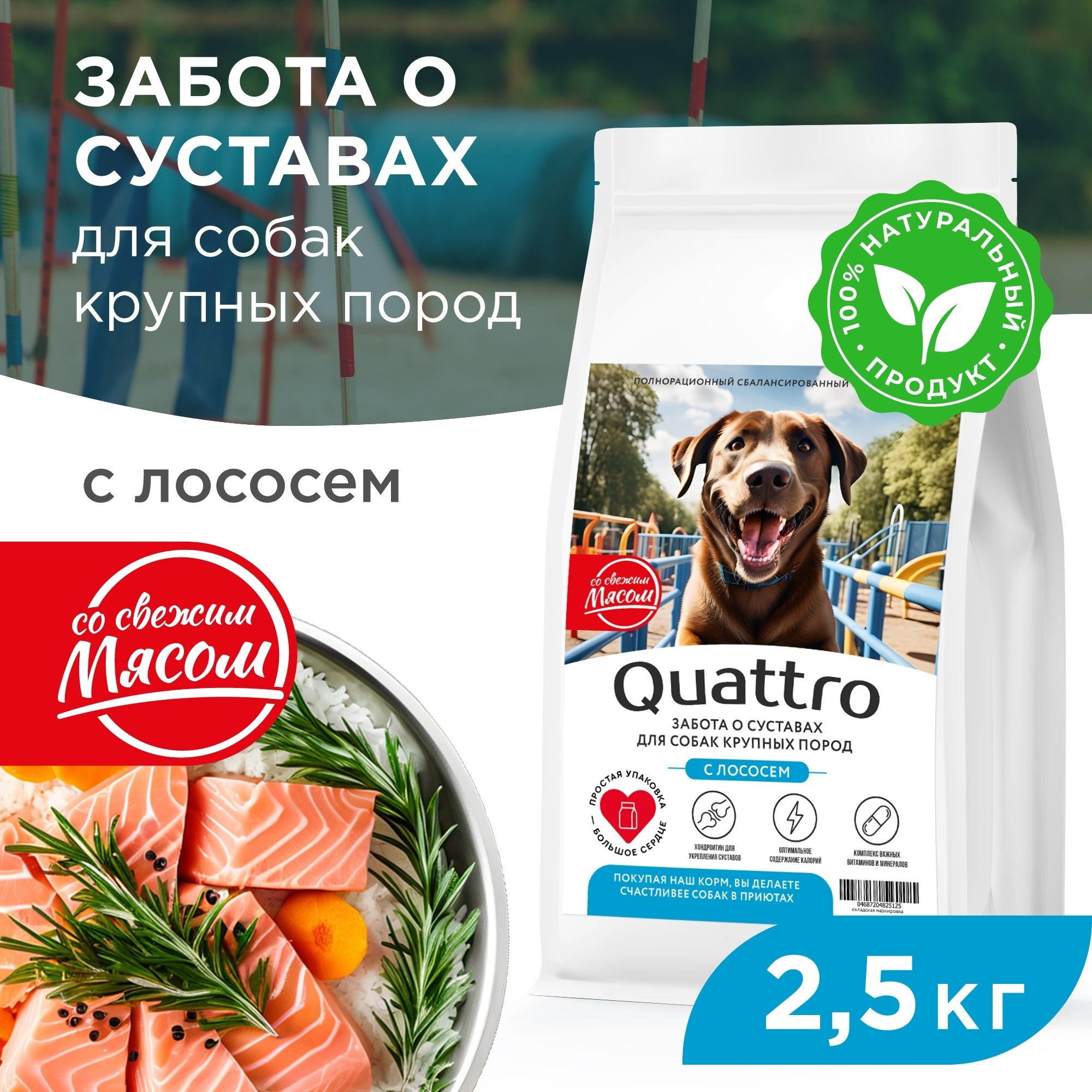 

Сухой корм для собак QUATTRO, Крупные породы премиум, забота о суставах, лосось, 2,5 кг