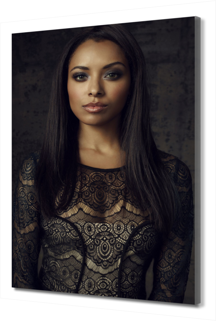 

Картина на холсте Бонни. Дневники вампира PRC-1358 (50x75см). Натуральный холст