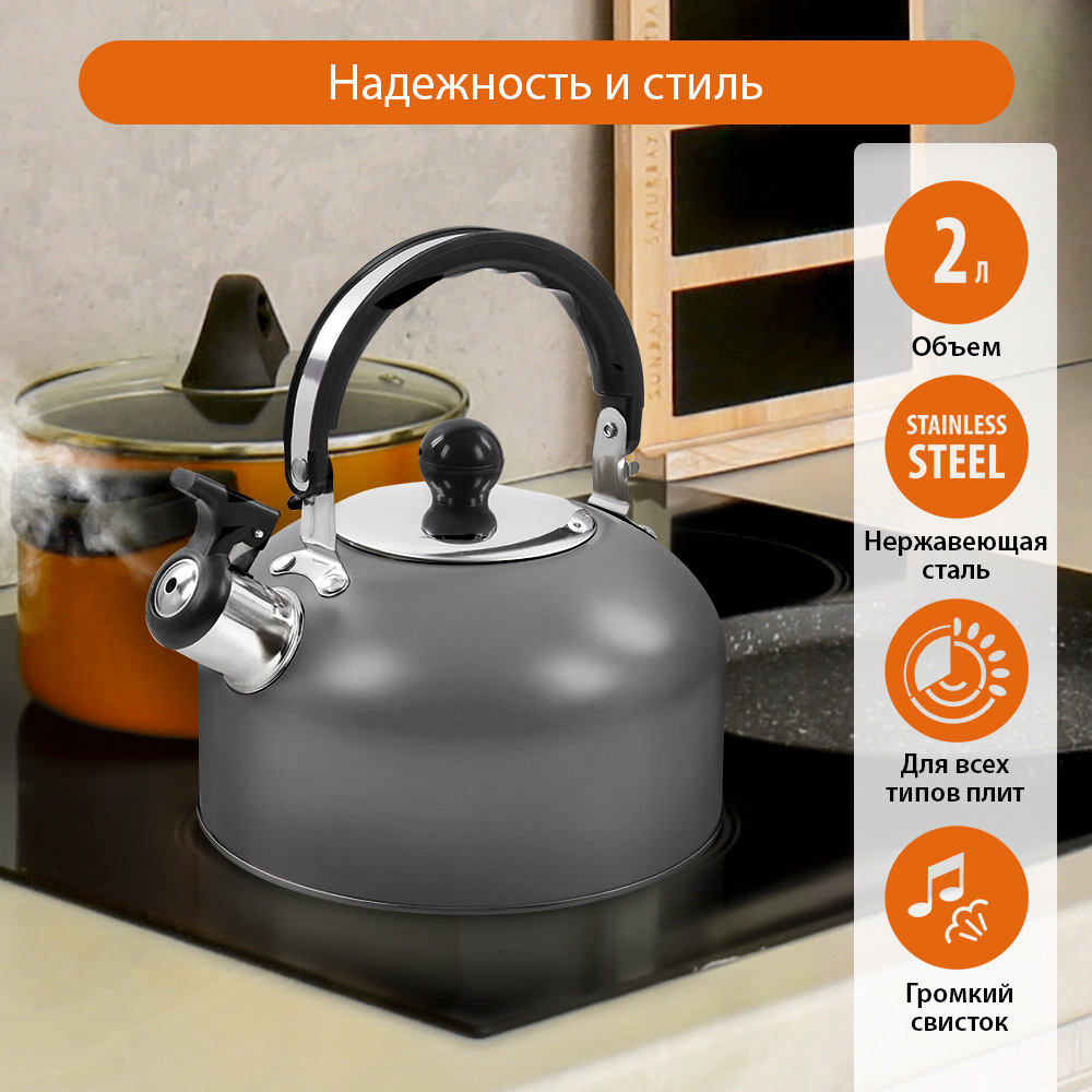 Чайник со свистком HOME ELEMENT HE-WK1602 темно-серый матовый