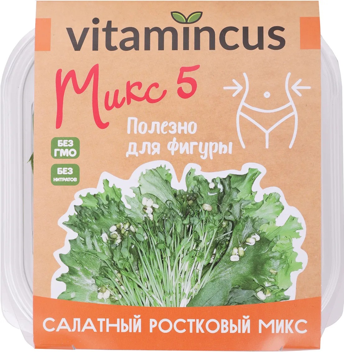 Салатный ростковый микс №5 Vitamincus в контейнере 100 г