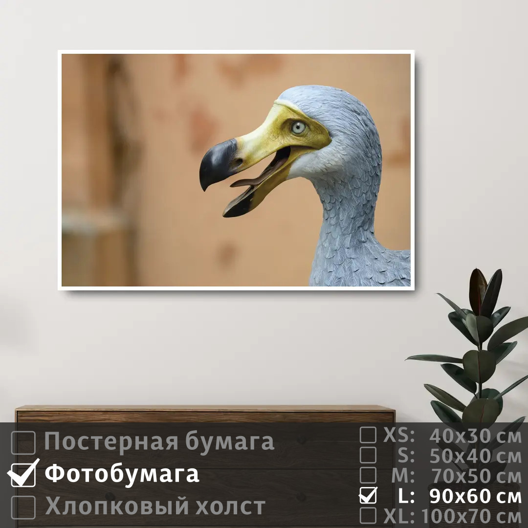 

Постер на фотобумаге ПолиЦентр Мифическая птица до до 90х60 см, МифическаяПтицаДоДо