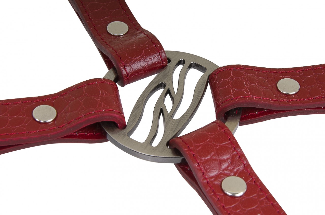 Сцепка Fire Horse на 4 карабина, красная, 004-004к