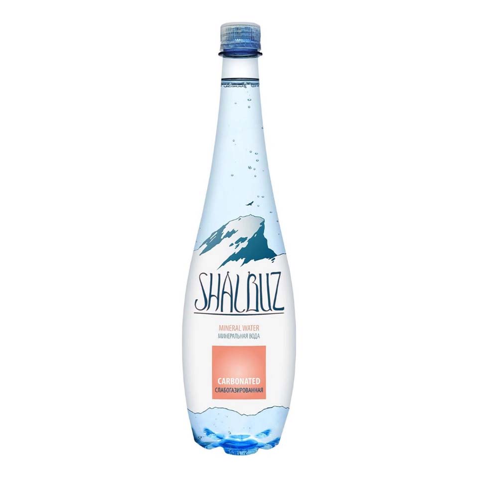 

Вода минеральная Shalbuz газированная 1 л