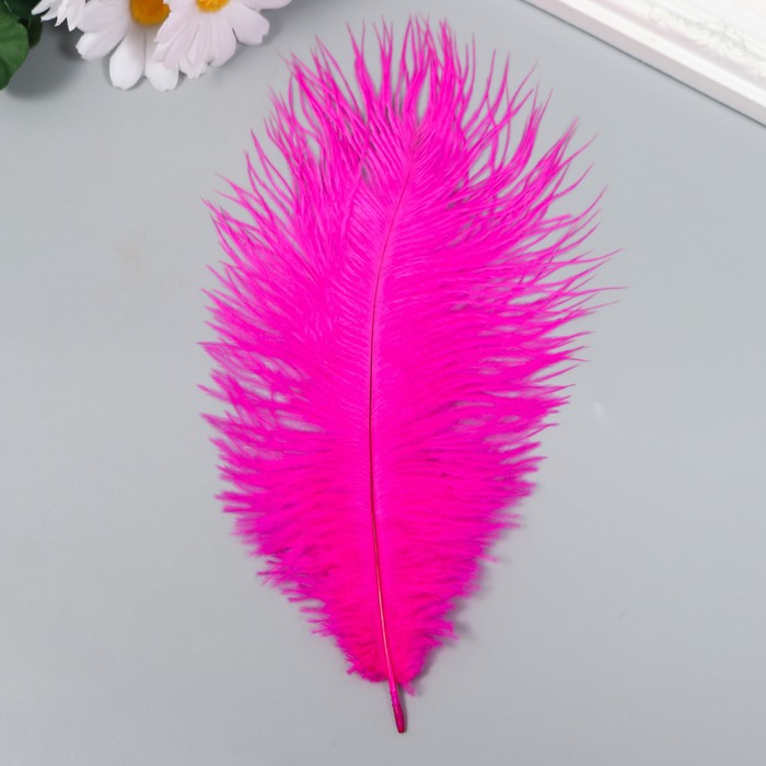 

Перо страуса 200-250 мм, малиновый, Розовый, Плети и твори!
