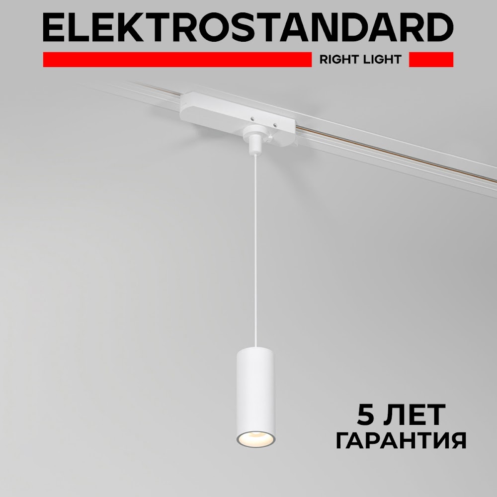 

Трековый подвесной однофазный светильник Elektrostandard Amend 85113/01 12W 4000K, Amend