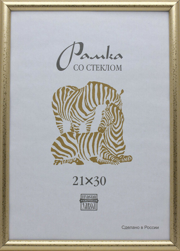 

Рамка пластиковая Зебра А4, 509 (золото)