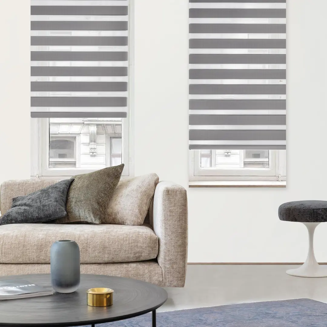 

Штора рулонная день-ночь Silver 60x160 см серая