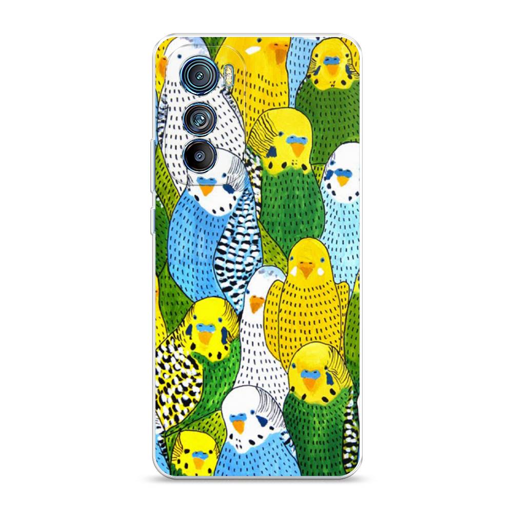 

Чехол Awog на Motorola Edge 30 "Попугаи", 243250-1