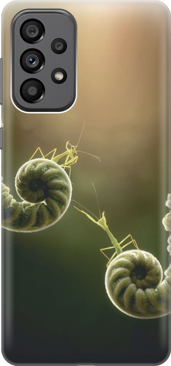 

Силиконовый чехол на Samsung Galaxy A73 5G с принтом "Пара богомолов", Бежевый;зеленый, 10560