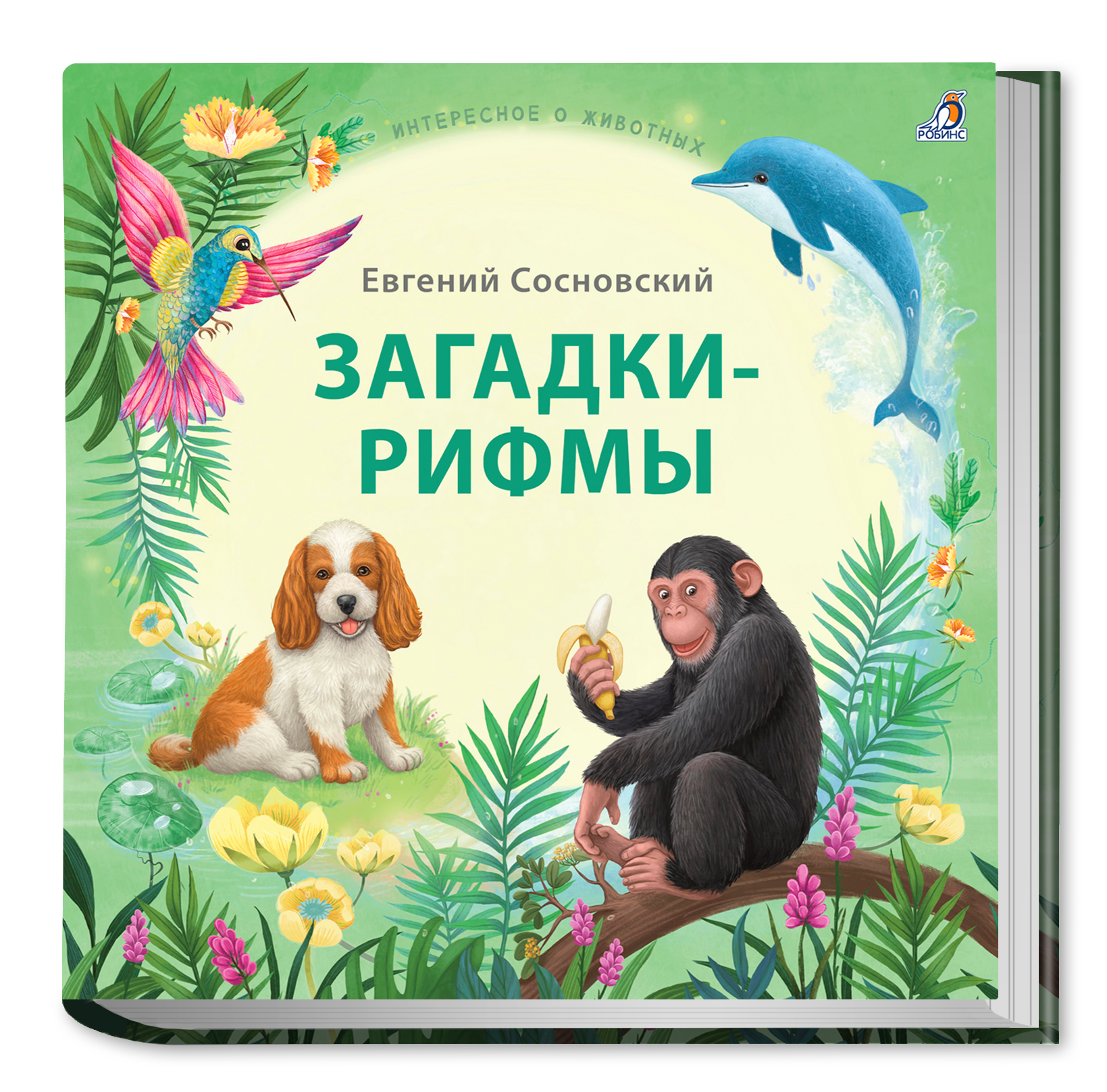

Загадки рифмы Подарочное издание, УТ000002353