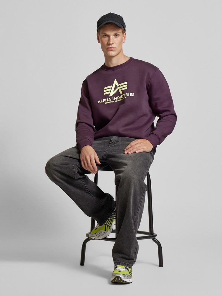 

Свитшот мужской Alpha Industries 178302 фиолетовый XL, 178302