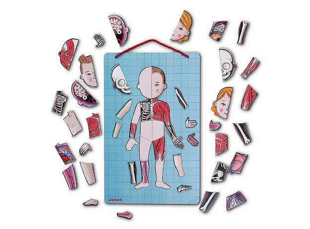 фото Настольная игра janod части тела, карточки с магнитными пазлами j05491