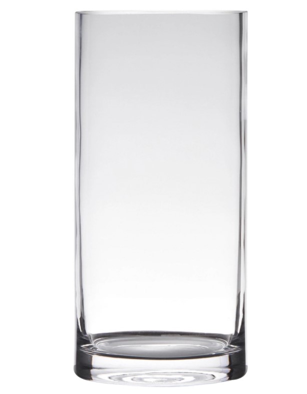 

Ваза Hakbijl Glass Cylinder для цветов 12 х 40 см