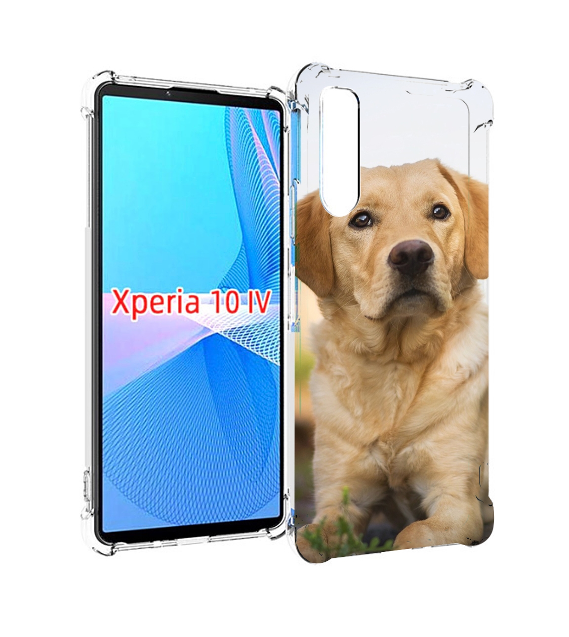 

Чехол MyPads лабрадор ретривер для Sony Xperia 10 IV (10-4), Прозрачный, Tocco
