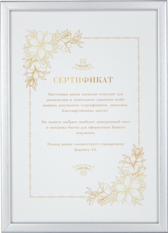 

Фоторамка Brand new Сертификат 21х29,7, A4, 521420 (серебро)