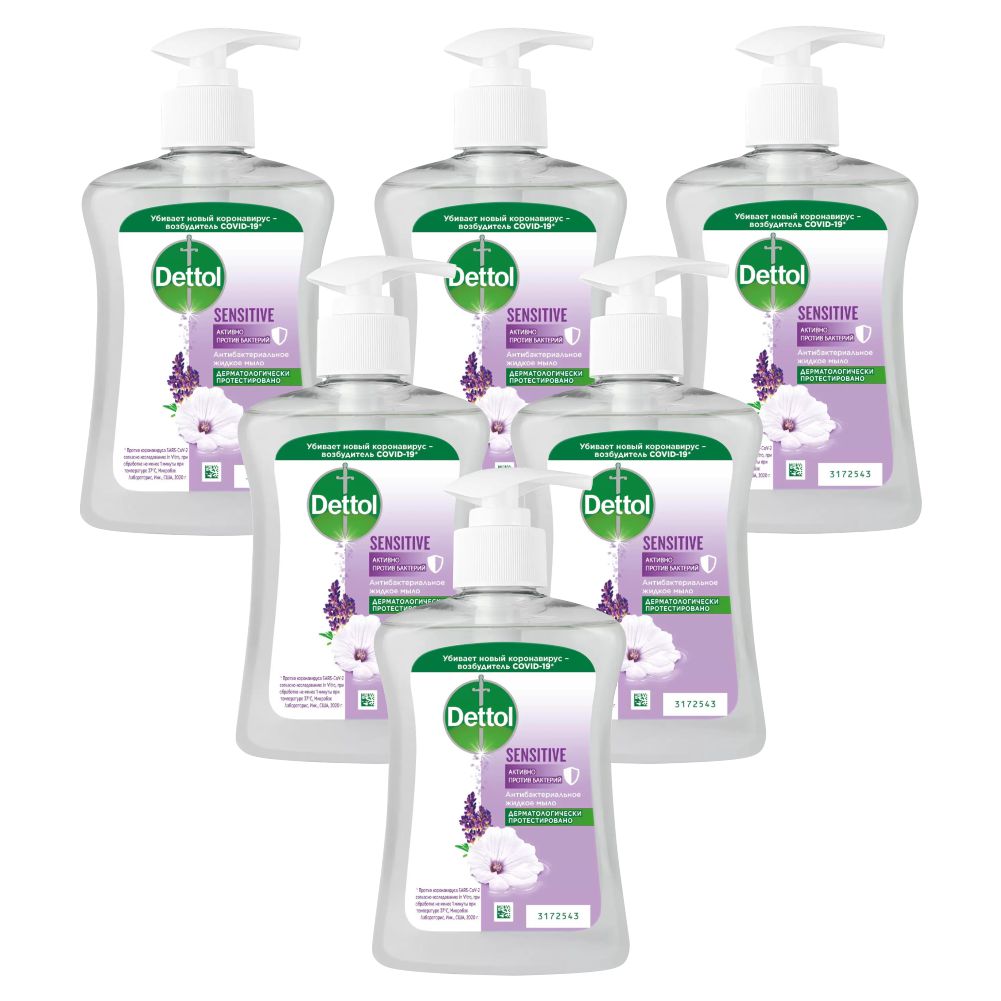 Комплект Антибактериальное жидкое мыло Dettol для рук 250 мл х 6 шт антибактериальное жидкое мыло чистея 300 мл