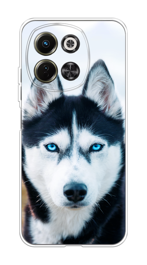 

Чехол на Tecno Spark 30 5G Хаски 2, Синий;белый, 309750-1
