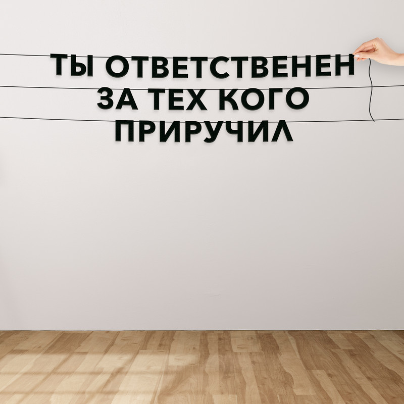 

Гирлянда-растяжка Ты ответственен за тех, кого приручил VN059 черная, Черный, Ты ответственен за тех, кого приручил
