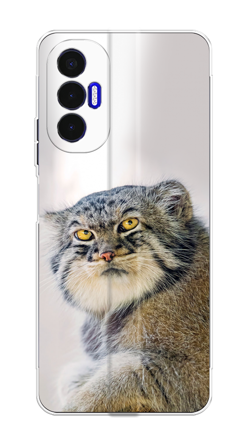 

Чехол на Tecno Pova 3 "Кот манул 1", Серый;белый;желтый, 301550-1