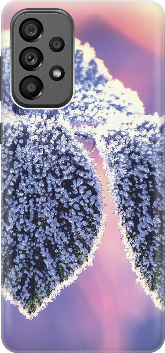 

Силиконовый чехол на Samsung Galaxy A73 5G с принтом "Замерзшие листики", Белый;фиолетовый, 10567