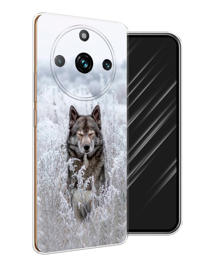 

Чехол Awog на Realme 11 "Волк в поле", Белый;черный, 2514150-1