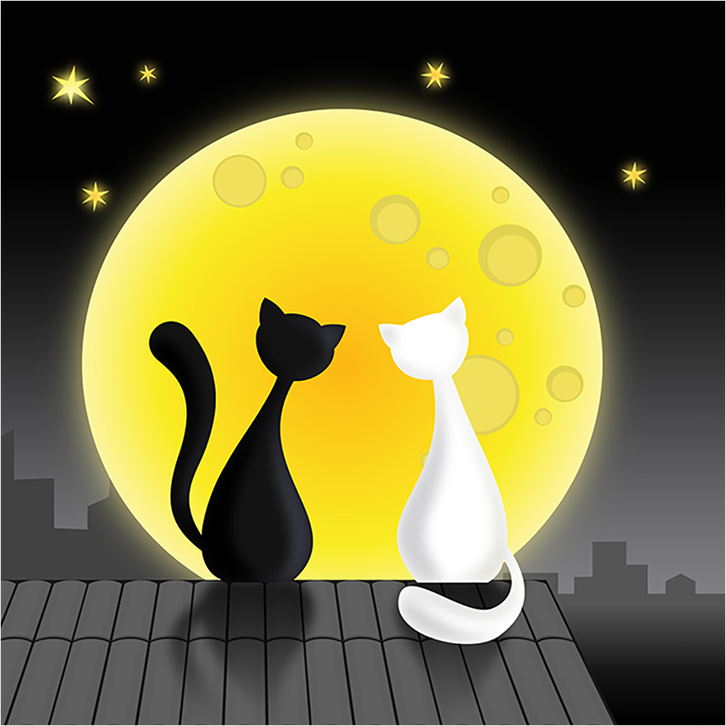 Влюбленные коты под луной