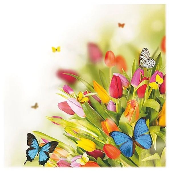 Салфетки Lori Тюльпаны 3сл 33*33см 20 шт