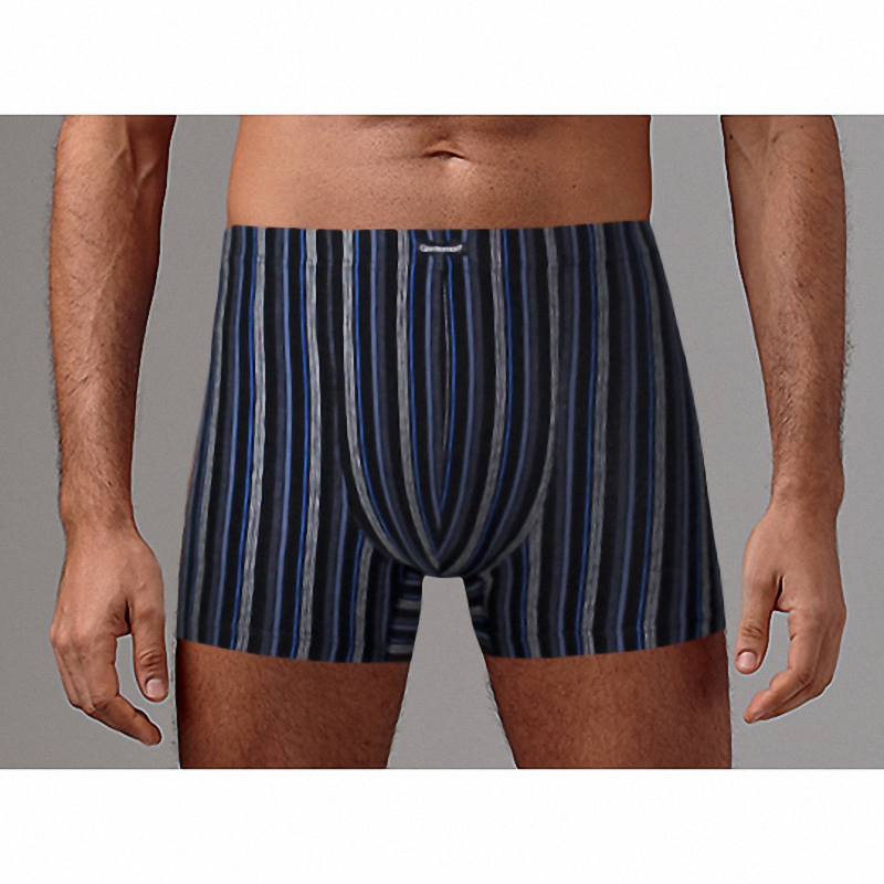 

Трусы мужские Gentlemen GS7242 синие XL, Синий, GS7242