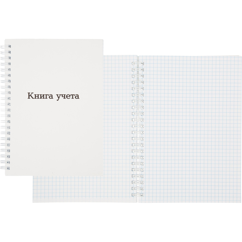 

Книга учета Attache А5 96л клетка офсет картон мел. спираль, 2шт.