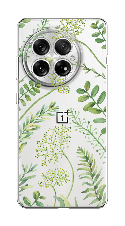 

Чехол на OnePlus 13 "Green Leaves", Зеленый;прозрачный, 155350-1