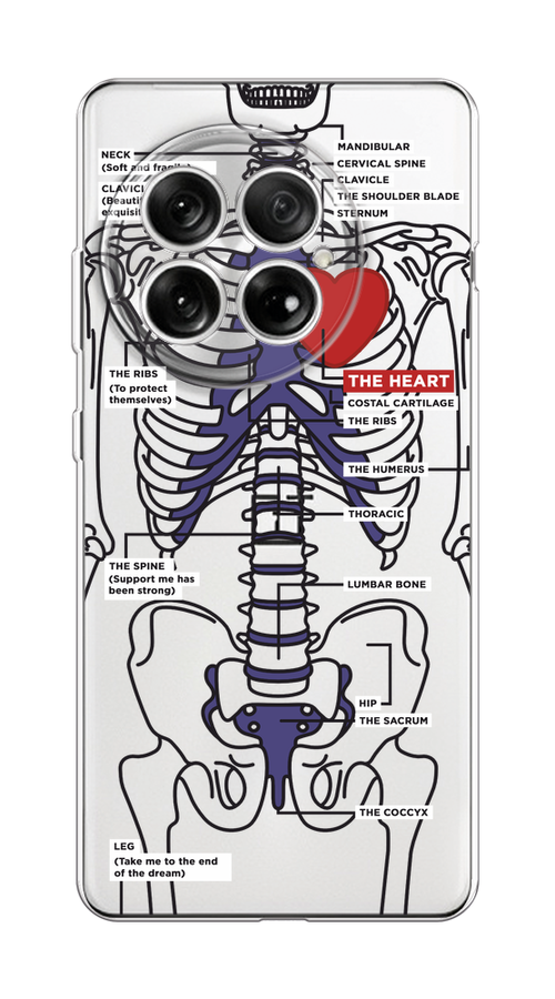

Чехол на OnePlus 13 "Скелет человека", Прозрачный;синий;красный, 155350-1