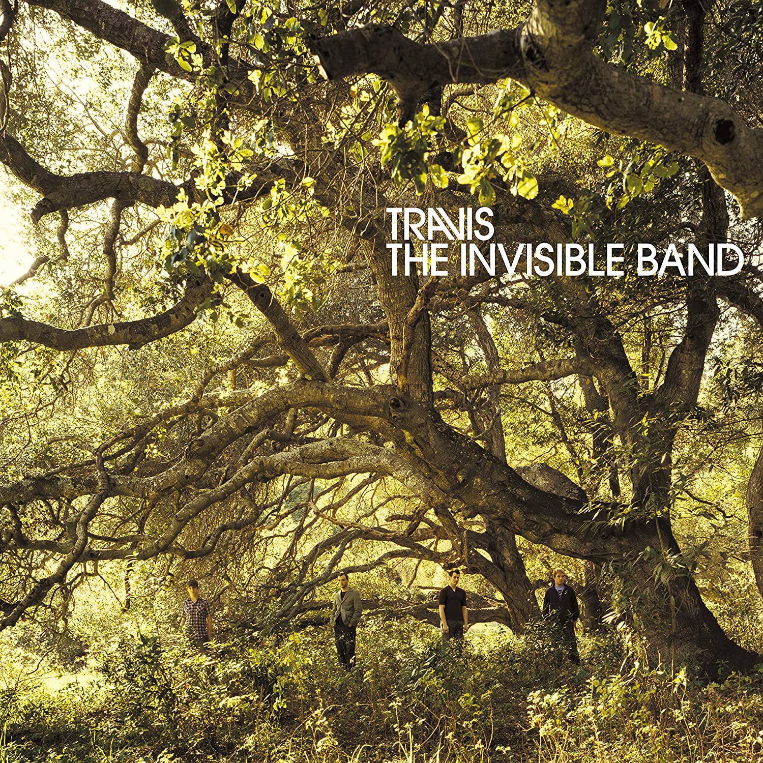 Travis The Invisible Band (Limited Box) (2Винил+2Cd)