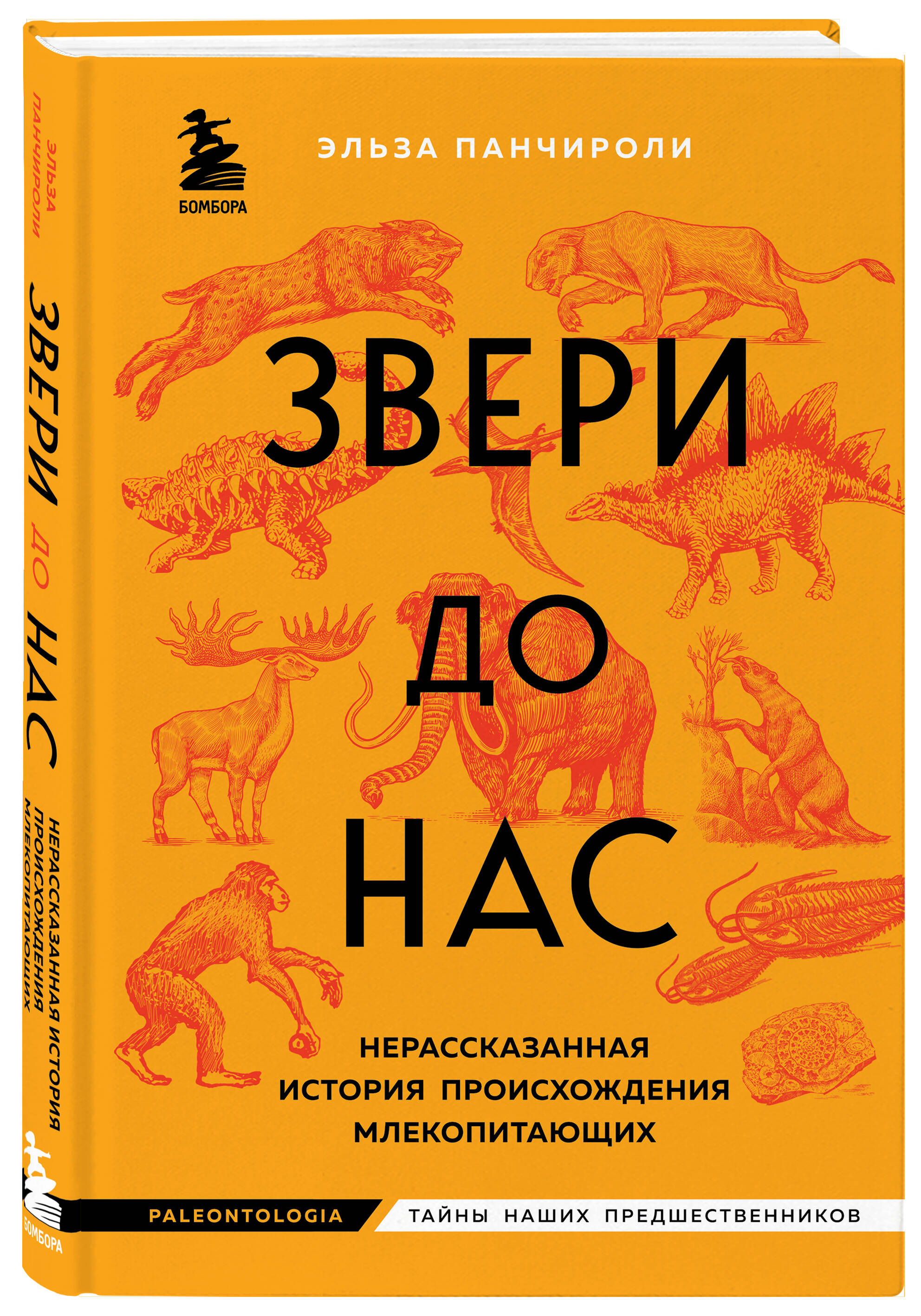 

Звери до нас Нерассказанная история происхождения млекопитающих