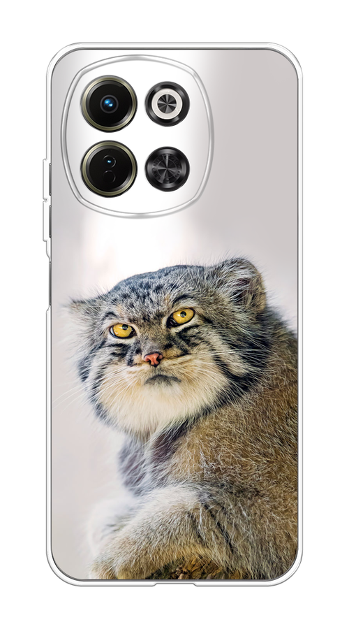 

Чехол на Tecno Spark 30 5G "Кот манул 1", Серый;белый;желтый, 309750-1