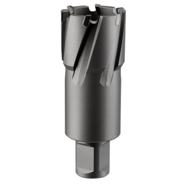 

Фреза кольцевая TCT (14x55 мм; Weldon 19) ROTORICA RT.4225014