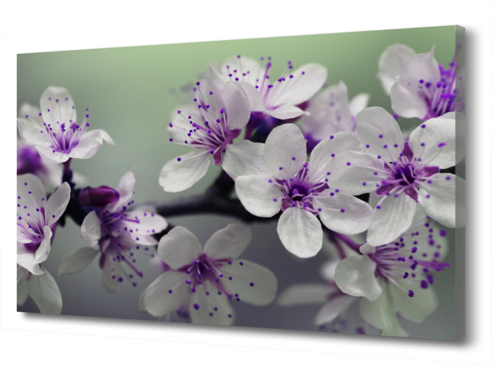 

Картина на холсте Весенние лиловые цветы PRC-892 (105x70см). Натуральный холст