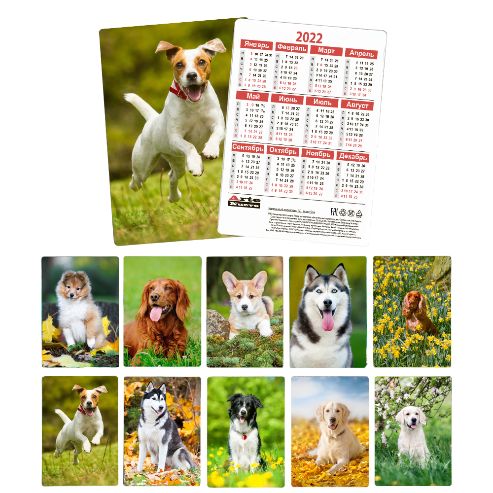 фото Календарь карманный arte nuevo собаки 2022 год в ассортименте