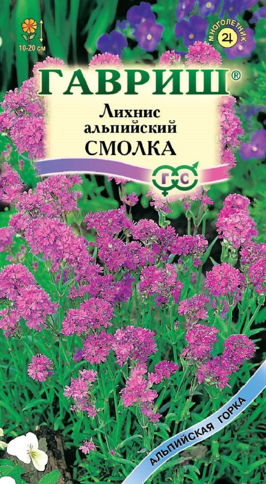 

Семена лихнис Смолка Гавриш 003784-10 1 уп.