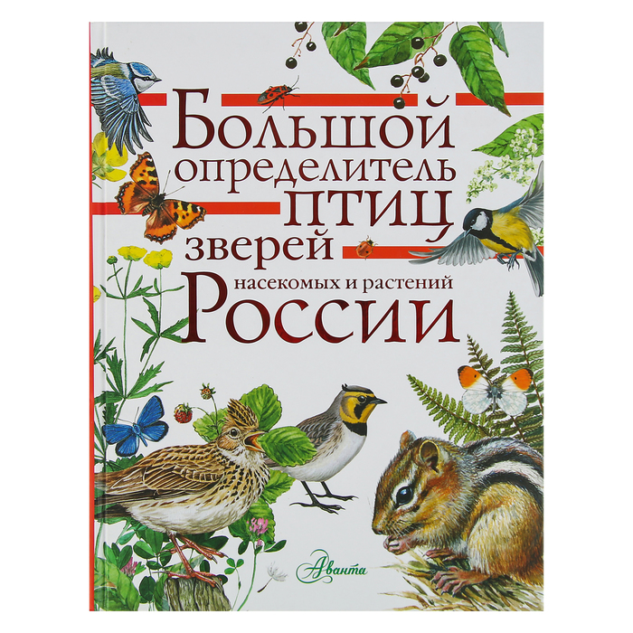 

Книга Большой определитель зверей, амфибий, рептилий, птиц, насекомых и растений