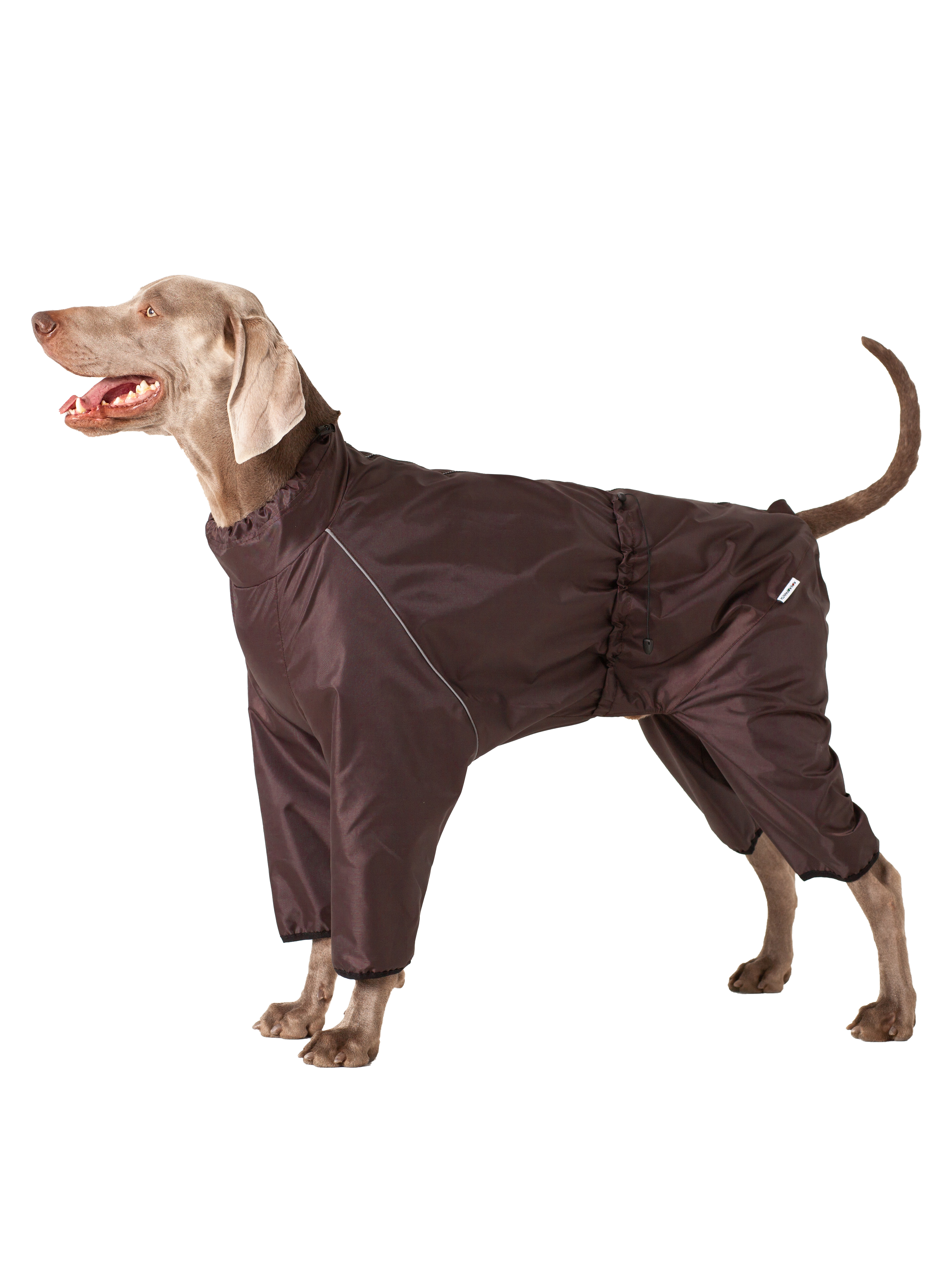 фото Дождевик для собаки средних и крупных пород, коричневый, д3 монморанси