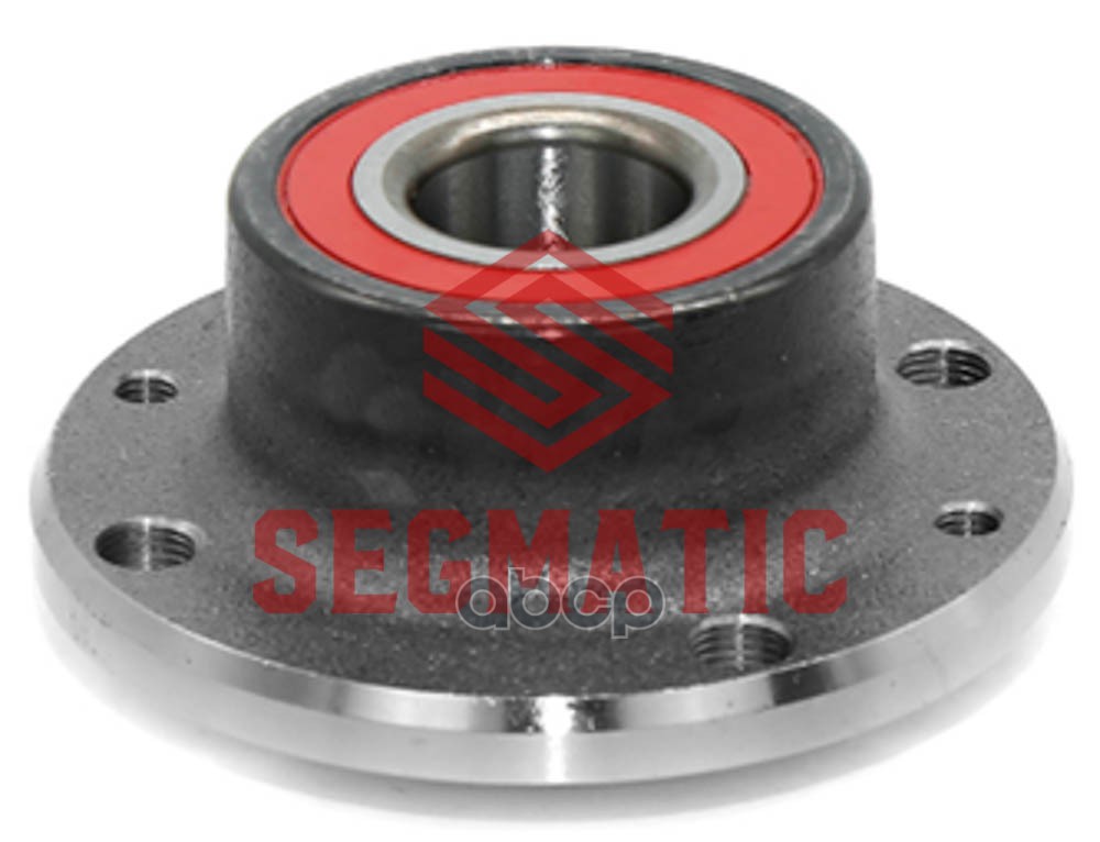 

SEGMATIC SGWH30204008 Ступица колеса в сборе задн FIAT Brava, Palio, Panda, Punto