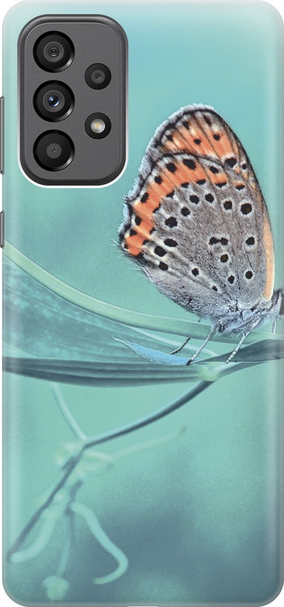 

Силиконовый чехол на Samsung Galaxy A73 5G "Бабочка на листке", Голубой;оранжевый, 10560