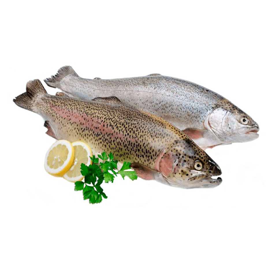 

Форель Spar Chef замороженная +-325 г