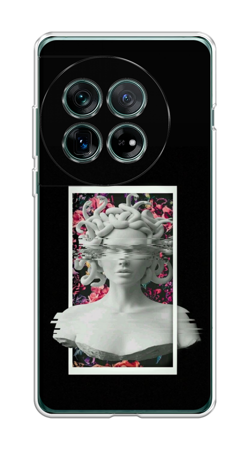 

Чехол на OnePlus 12 "Web Punk Медуза Горгона", Черный;серый, 154450-1