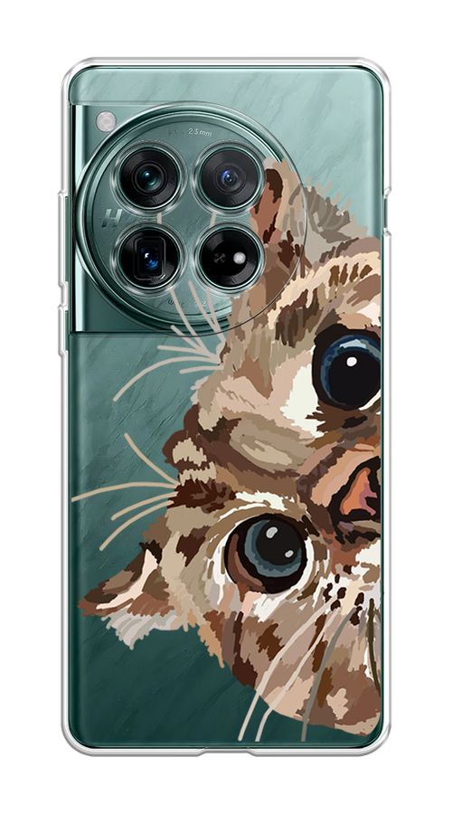 

Чехол на OnePlus 12 "Любопытный кот", Коричневый;синий;черный, 154450-1