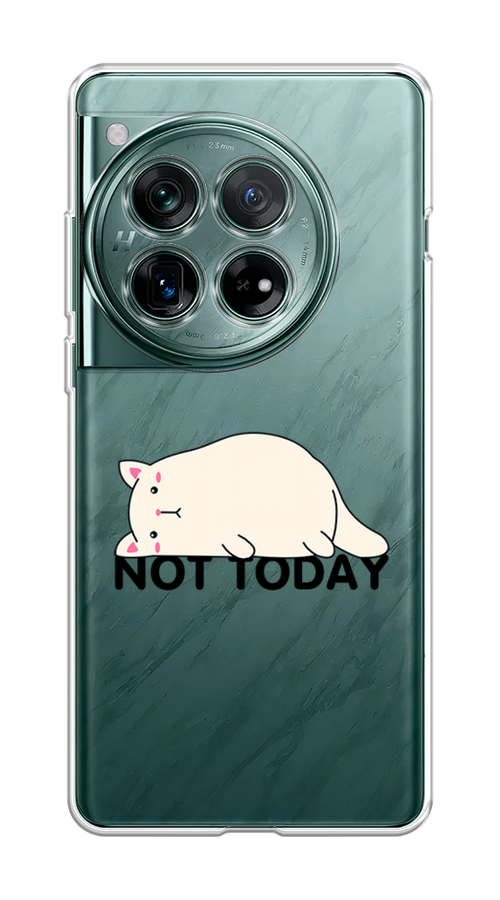 

Чехол на OnePlus 12 "Cat not today", 154450-1