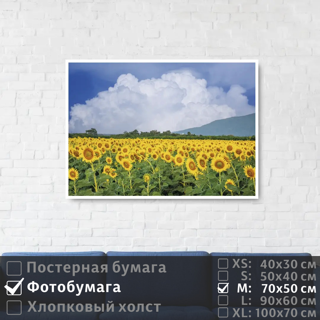 

Постер на фотобумаге ПолиЦентр Подсолнухи под голубым небом с облаками 70х50 см, ПодсолнухиПодГолубымНебомСОблаками